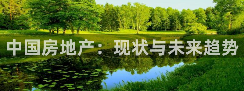 和记娱乐首页官网：中国房地产：现状与未来趋势