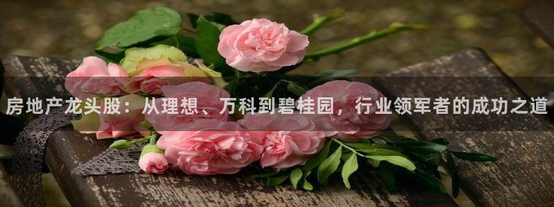 和记手机客户端官网