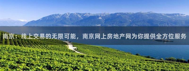 和记万佳国际家居城官网：南京：线上交易的无限可能，南京网上房