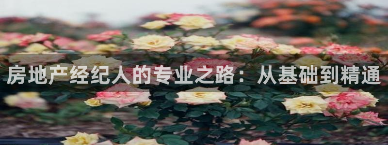 和记平台网站官网：房地产经纪人的专业之路：从基础到精通