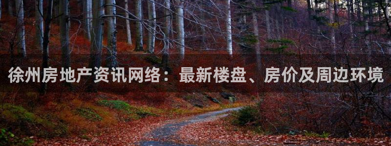 香港长江和记官网：徐州房地产资讯网络：最新楼盘、房价及周边环