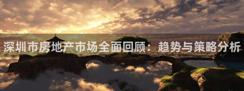 和记旗舰官网：深圳市房地产市场全面回顾：趋势与策略分析