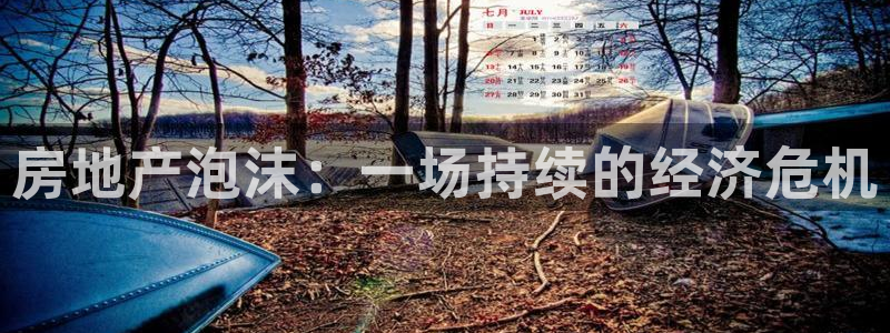 和记hgc官网：房地产泡沫：一场持续的经济危机