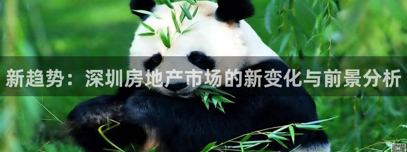 武汉和记黄埔官网：新趋势：深圳房地产市场的新变化与前景分析