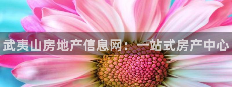 香港和记电信官网：武夷山房地产信息网：一站式房产中心