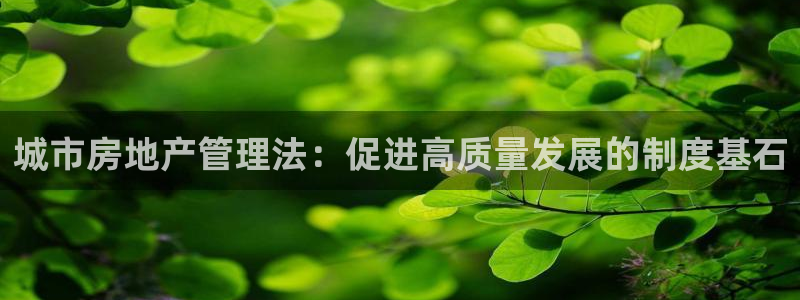 澳门和记平台官网：城市房地产管理法：促进高质量发展的制度基石