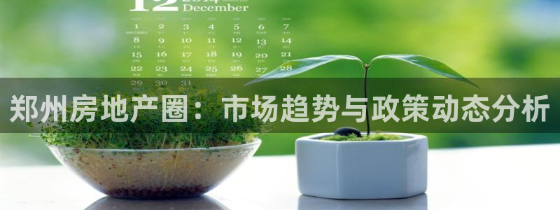 和记黄埔中药公司官网：郑州房地产圈：市场趋势与政策动态分析