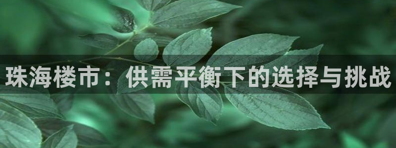 和记国际官网电话：珠海楼市：供需平衡下的选择与挑战