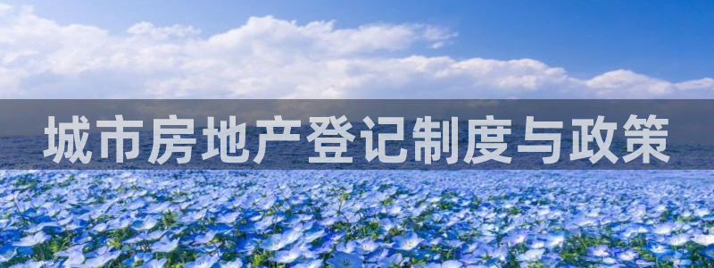 和记官网 公司：城市房地产登记制度与政策