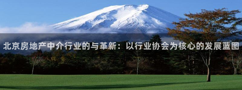 和记国际官网官网：北京房地产中介行业的与革新：以行业协会为核