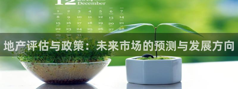 和记电官网：地产评估与政策：未来市场的预测与发展方向