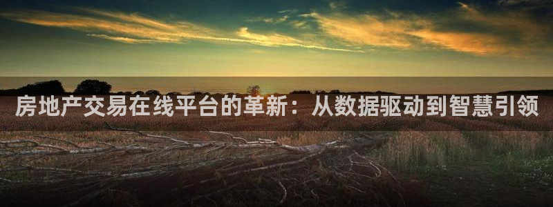 和记娱乐首页官网：房地产交易在线平台的革新：从数据驱动到智慧