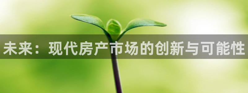 和记官网官网入口：未来：现代房产市场的创新与可能性