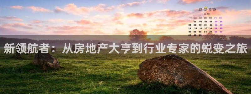 和记官网登录：新领航者：从房地产大亨到行业专家的蜕变之旅