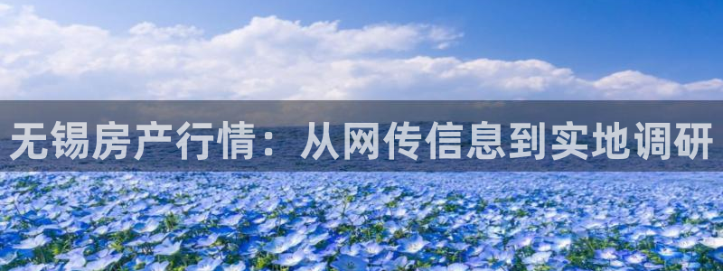 和记娱乐怡情官网：无锡房产行情：从网传信息到实地调研