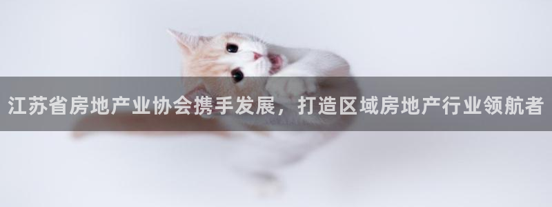 和记娱答疑h88285官网：江苏省房地产业协会携手发展，打造