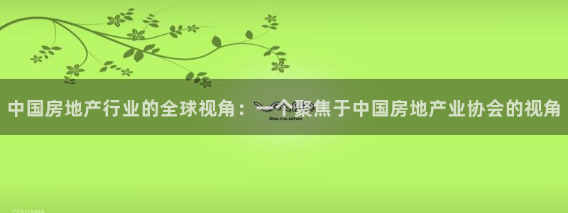 和记 官网：中国房地产行业的全球视角：一个聚焦于中国房地产业