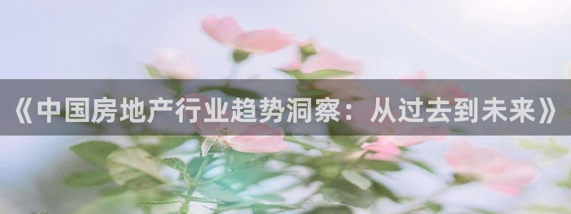 3和记官网：《中国房地产行业趋势洞察：从过去到未来》