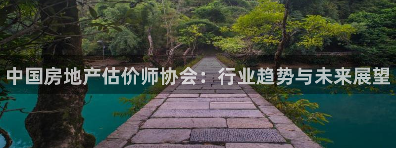 和记旗舰官网：中国房地产估价师协会：行业趋势与未来展望