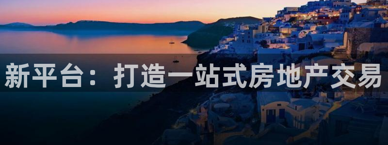 和记3官网：新平台：打造一站式房地产交易