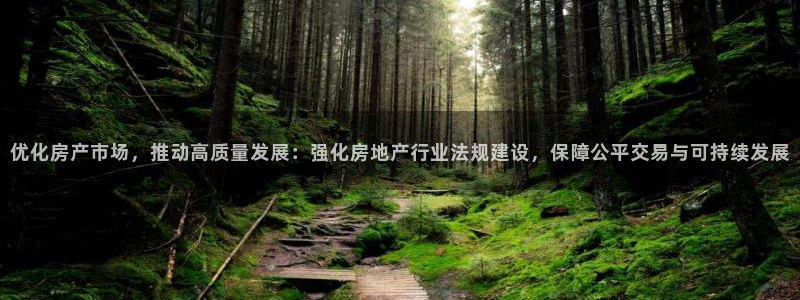 和记 中国官网：优化房产市场，推动高质量发展：强化房地产行业
