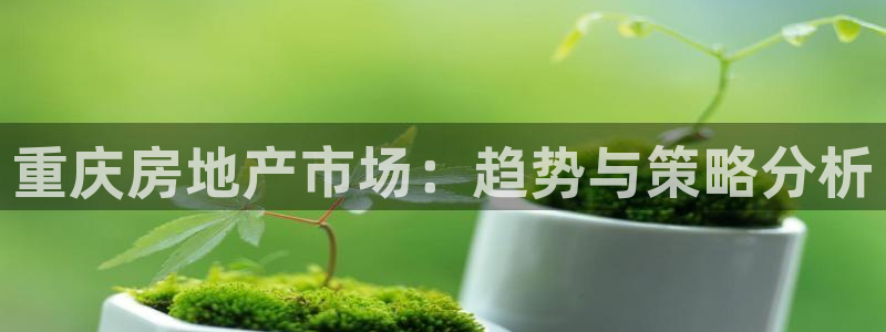 成都和记黄埔官网：重庆房地产市场：趋势与策略分析