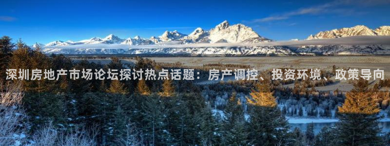 和记万佳官网：深圳房地产市场论坛探讨热点话题：房产调控、投资