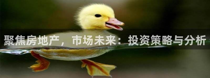 和记港口官网：聚焦房地产，市场未来：投资策略与分析