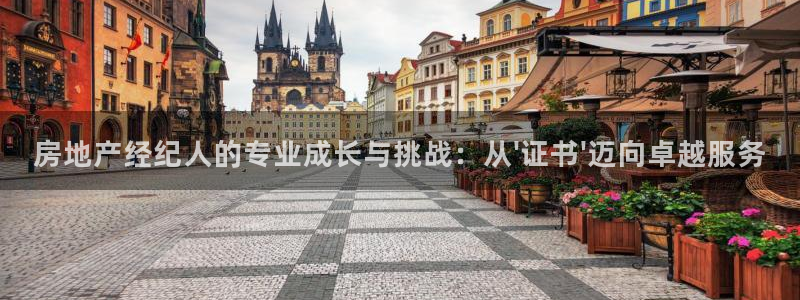 澳门和记官网娱乐场：房地产经纪人的专业成长与挑战：从\'证书