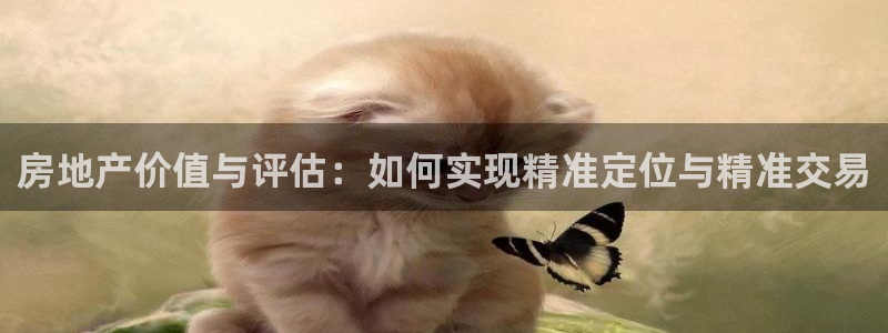 和记黄埔 官网：房地产价值与评估：如何实现精准定位与精准交易