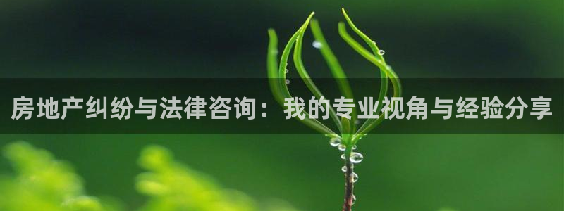 和记网站官网：房地产纠纷与法律咨询：我的专业视角与经验分享