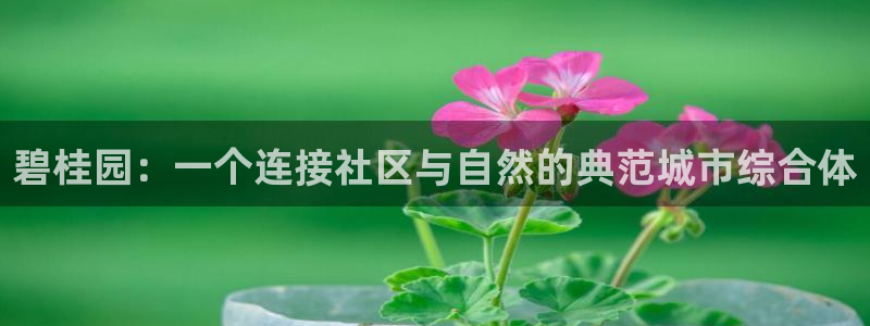 和记官网登陆：碧桂园：一个连接社区与自然的典范城市综合体