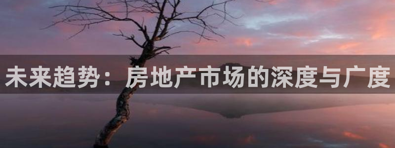 和记网址官网：未来趋势：房地产市场的深度与广度