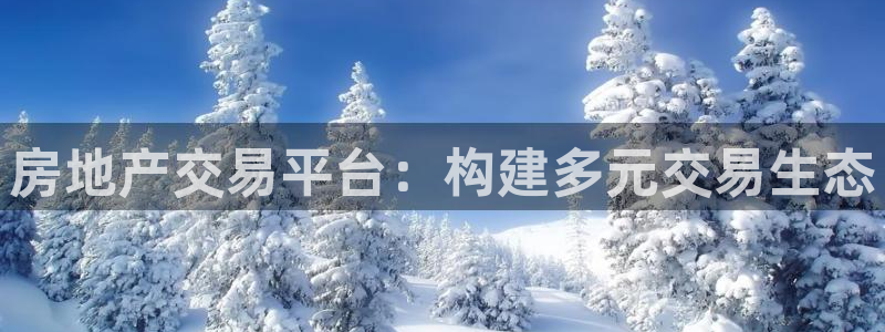 和记黄埔上海官网：房地产交易平台：构建多元交易生态