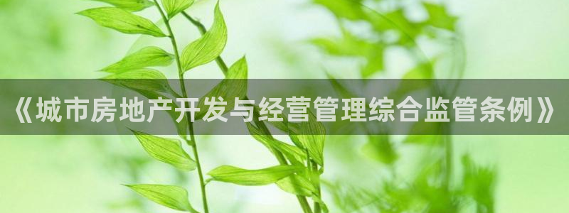 和记h8官网：《城市房地产开发与经营管理综合监管条例》