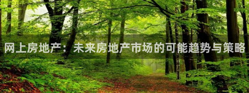 和记怡情博物官网：网上房地产：未来房地产市场的可能趋势与策略