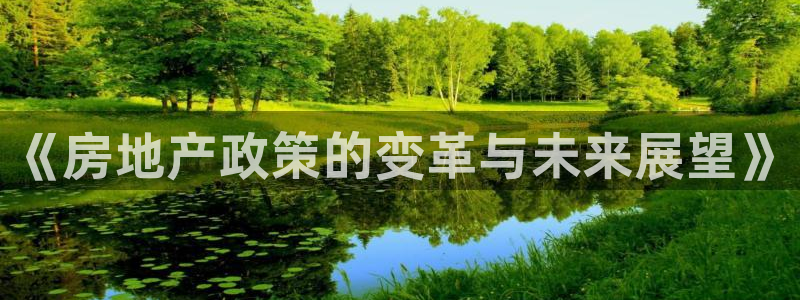 和帆记加盟官网：《房地产政策的变革与未来展望》
