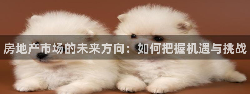 和力记易官网：房地产市场的未来方向：如何把握机遇与挑战