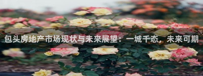 和记体育官网：包头房地产市场现状与未来展望：一城千态，未来可