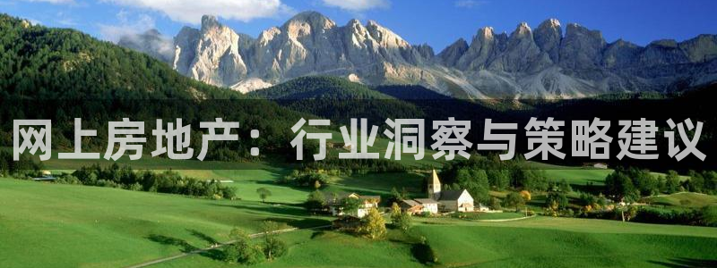 和记电讯官网0机构：网上房地产：行业洞察与策略建议