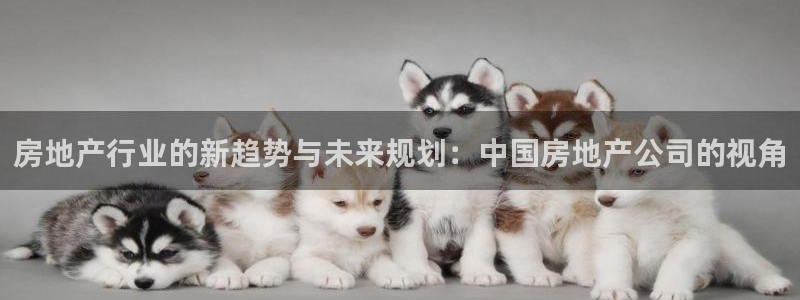 香港和记3hk官网：房地产行业的新趋势与未来规划：中国房地产