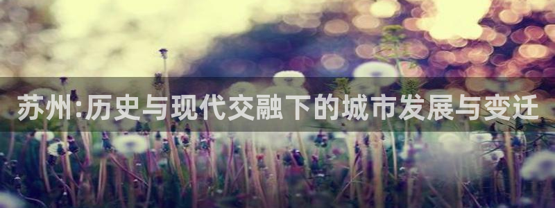 和记官网：苏州:历史与现代交融下的城市发展与变迁