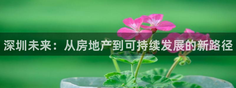 和记3电讯 官网：深圳未来：从房地产到可持续发展的新路径