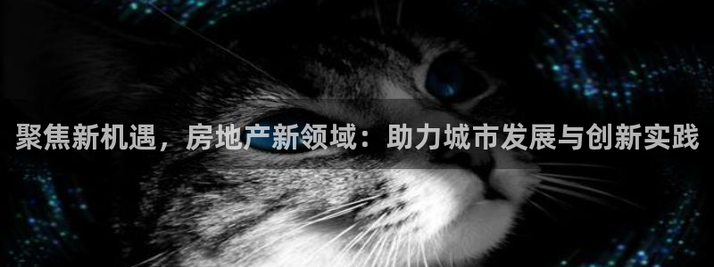 和记娱技精h88285官网：聚焦新机遇，房地产新领域：助力城