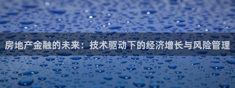 和记官网是一个什么平台：房地产金融的未来：技术驱动下的经济增