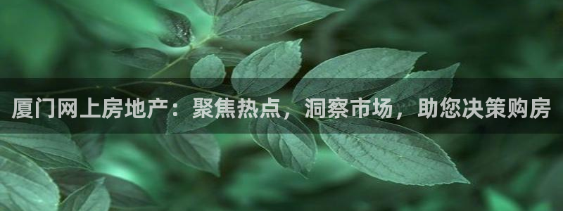和记3官网：厦门网上房地产：聚焦热点，洞察市场，助您决策购房