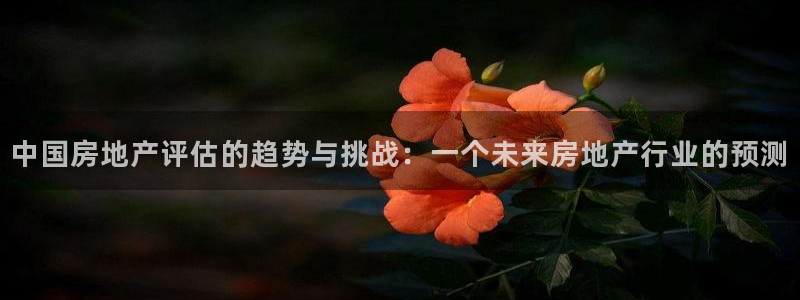 和记娱乐唯一官网：中国房地产评估的趋势与挑战：一个未来房地产
