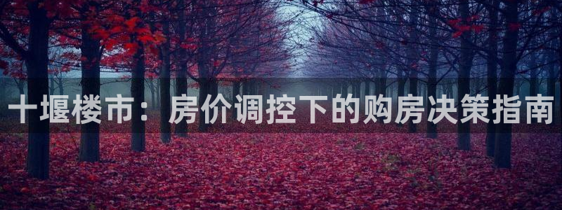 和记一品官网：十堰楼市：房价调控下的购房决策指南