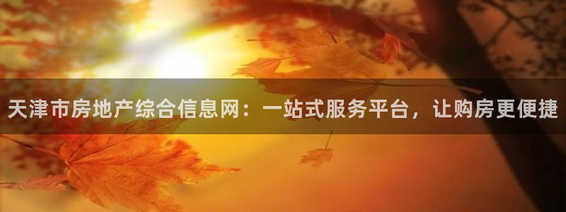 和记电讯3官网：天津市房地产综合信息网：一站式服务平台，让购