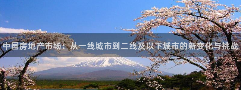 下载和记官网：中国房地产市场：从一线城市到二线及以下城市的新